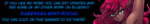 BlueskyBanner